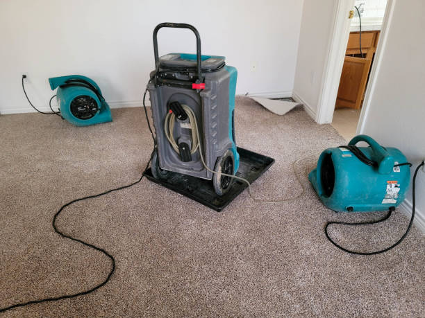 Best Water damage restoration services  in Rapid City, SD