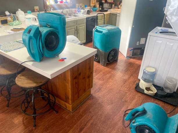 Best Ceiling water damage repair  in Rapid City, SD