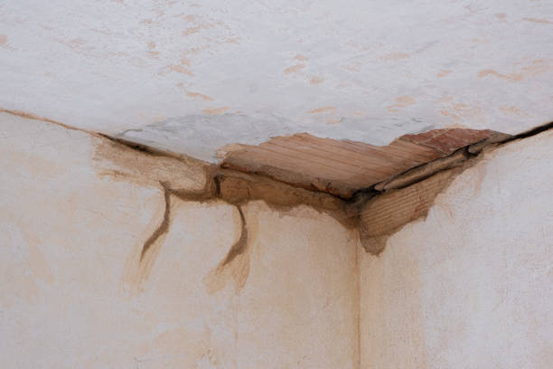Best Water damage restoration near me  in Rapid City, SD
