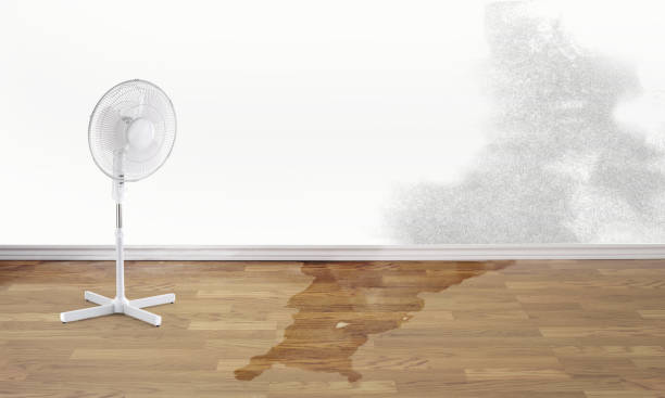 Best Commercial water damage restoration  in Rapid City, SD