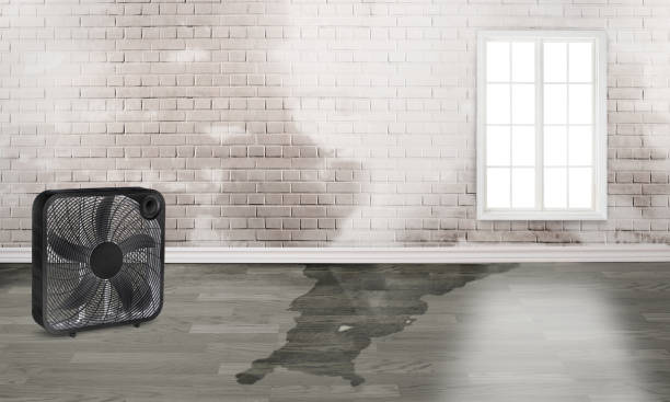 Best Residential water damage restoration  in Rapid City, SD