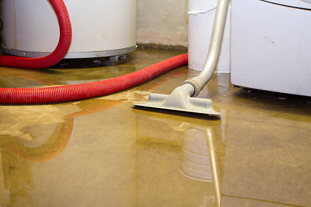  Rapid City, SD Water damage restoration Pros