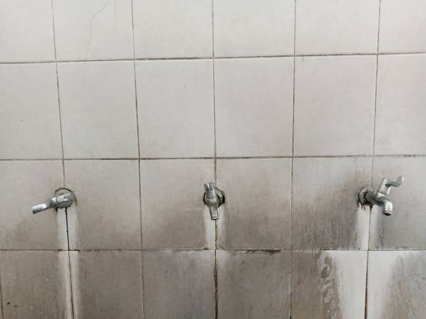 Best Mold removal after water damage  in Rapid City, SD