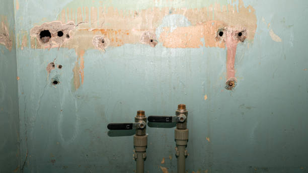 Carpet water damage restoration in SD