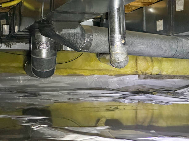 Best Local water damage restoration  in Rapid City, SD