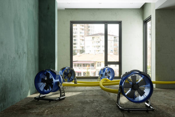 Local water damage restoration in SD